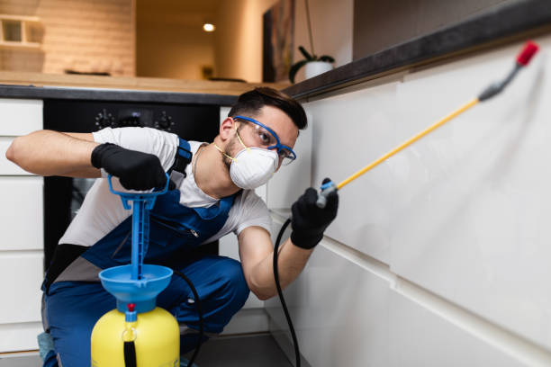 Best Flea Control Services  in Anacoco, LA