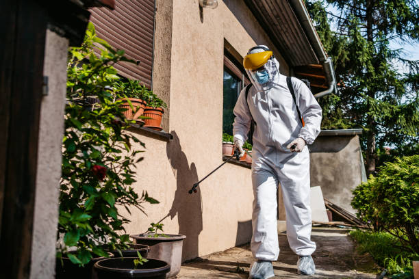 Best Ant Control Services  in Anacoco, LA