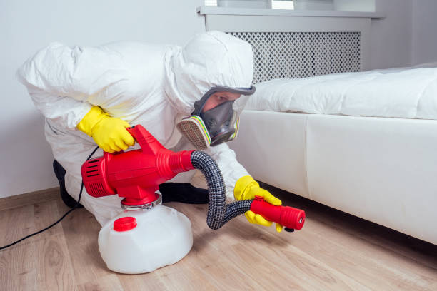 Best Wasp Removal Services  in Anacoco, LA