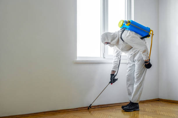 Best Rat Extermination Near Me  in Anacoco, LA