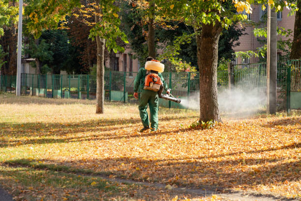 Best Affordable Exterminators  in Anacoco, LA