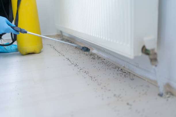 Best Residential Pest Control  in Anacoco, LA
