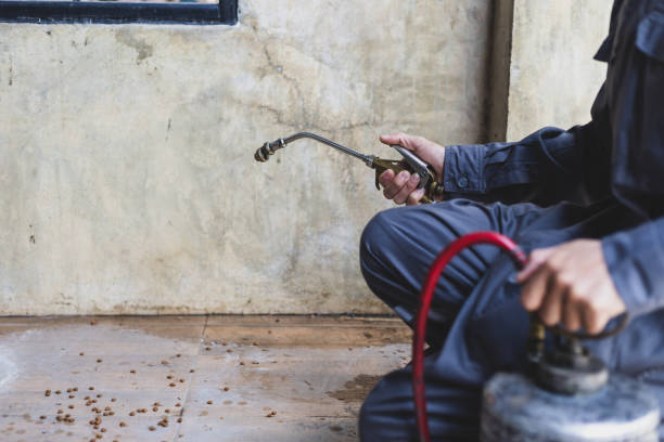 Best Best Pest Control Companies  in Anacoco, LA